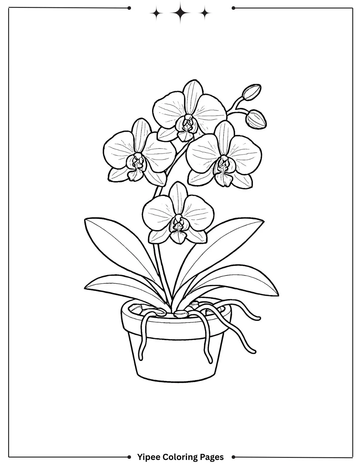 Creative Flower Coloring Pages for Kids and Adults Flower Vase Tulip Coloring Page