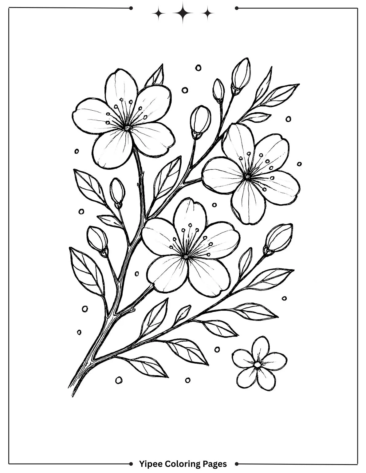 Creative Flower Coloring Pages for Kids and Adults lilly branch flower coloring page