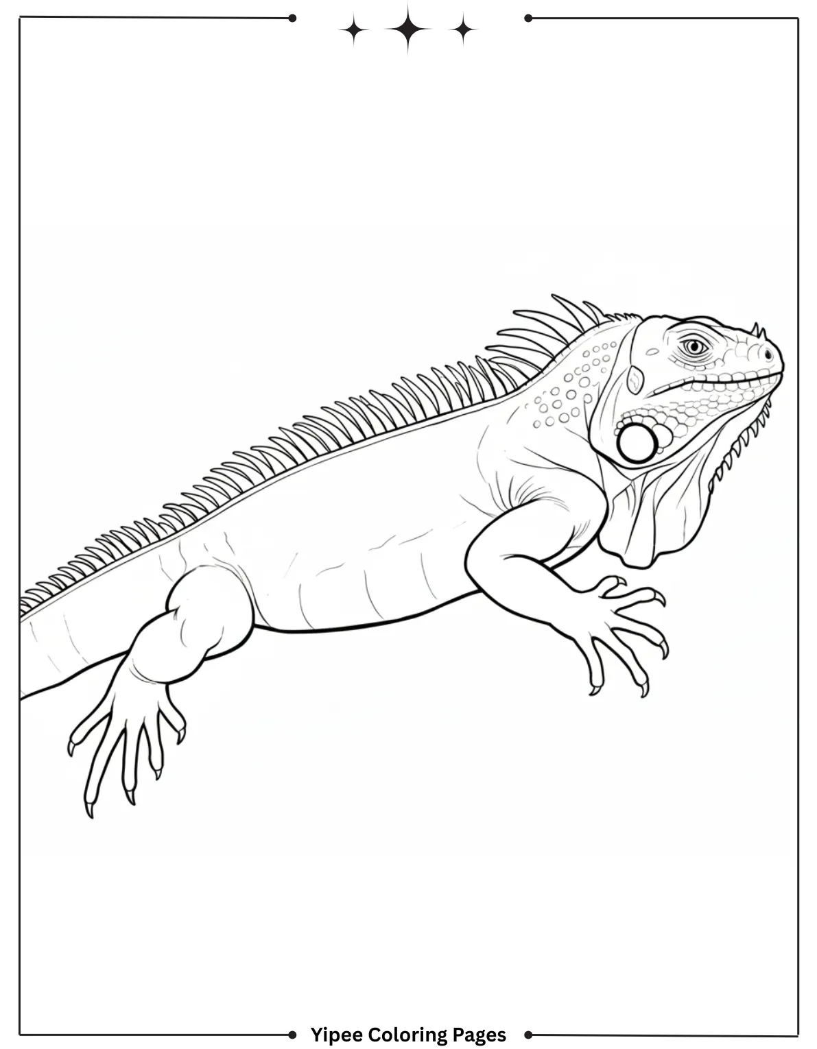 Cute Easy to Color Iguana Coloring Page for Preschoolers