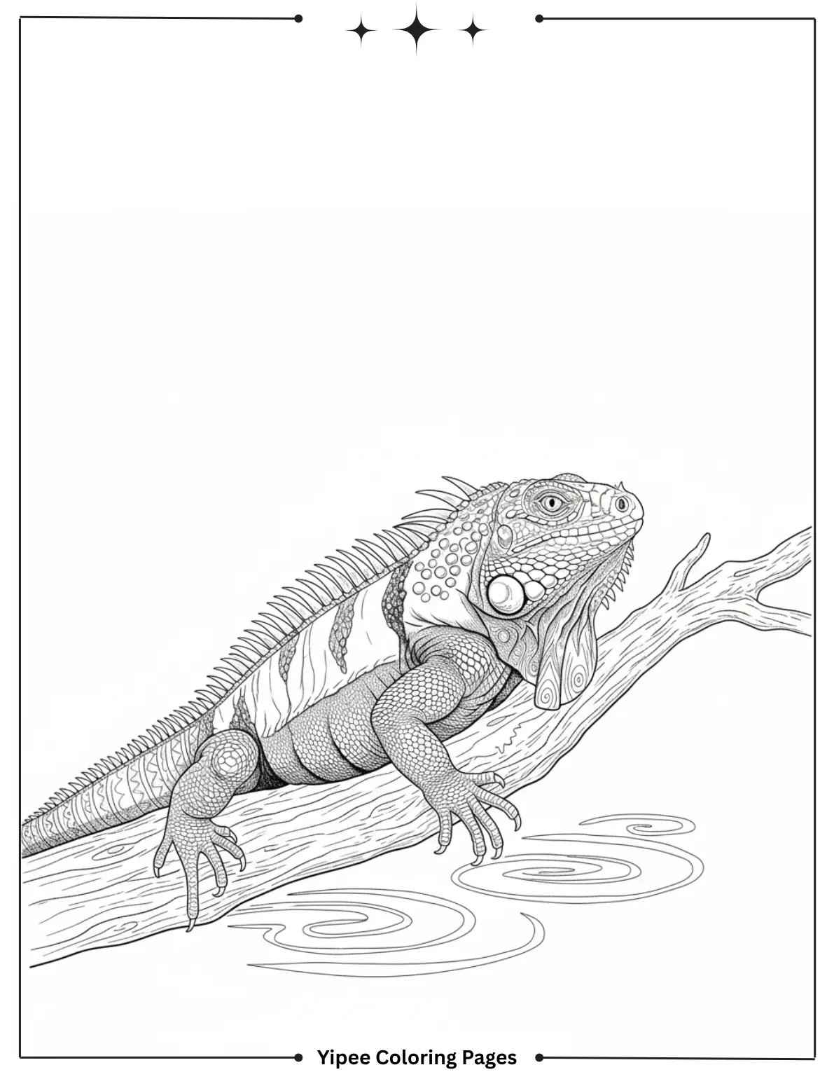Detailed Iguana Coloring Page for Adults