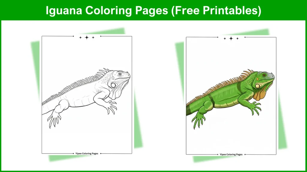 Iguana Coloring Pages – Best Free Printable Art