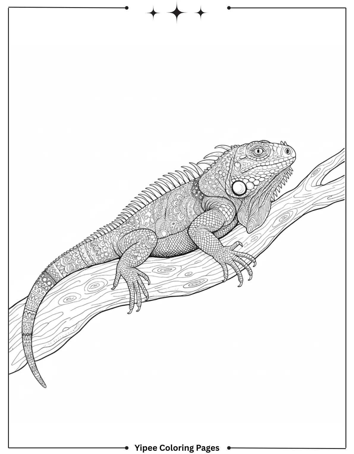 Realistic Iguana on Tree Branch in Jungle Coloring Sheet
