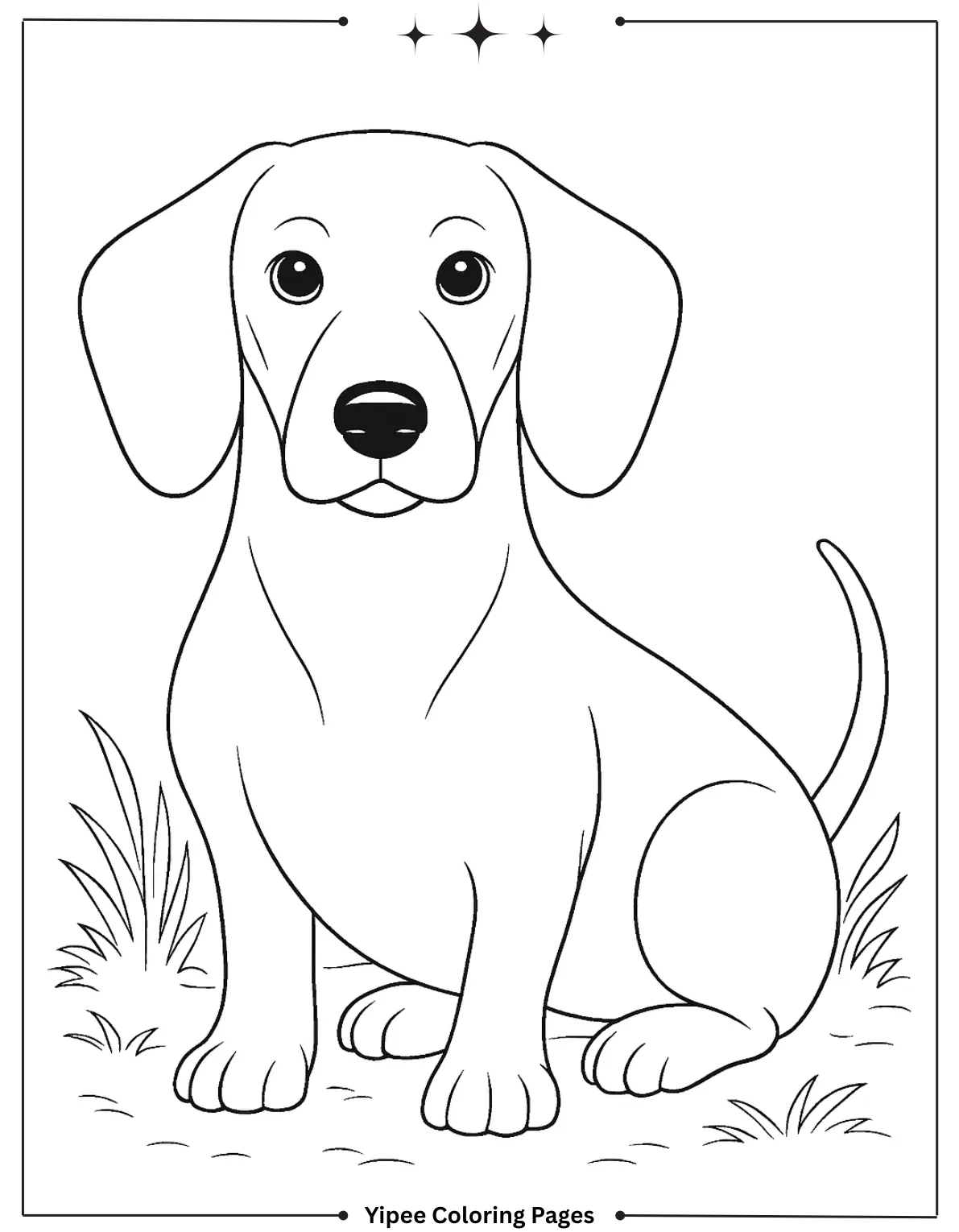 Realistic Dog Coloring Pages: Download, Print & Have Fun! Realistic Dachshund Coloring Page
