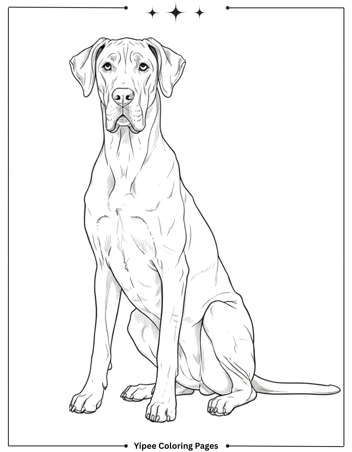 Realistic Dog Coloring Pages: Download, Print & Have Fun! Realistic Golden Retriever Coloring Page