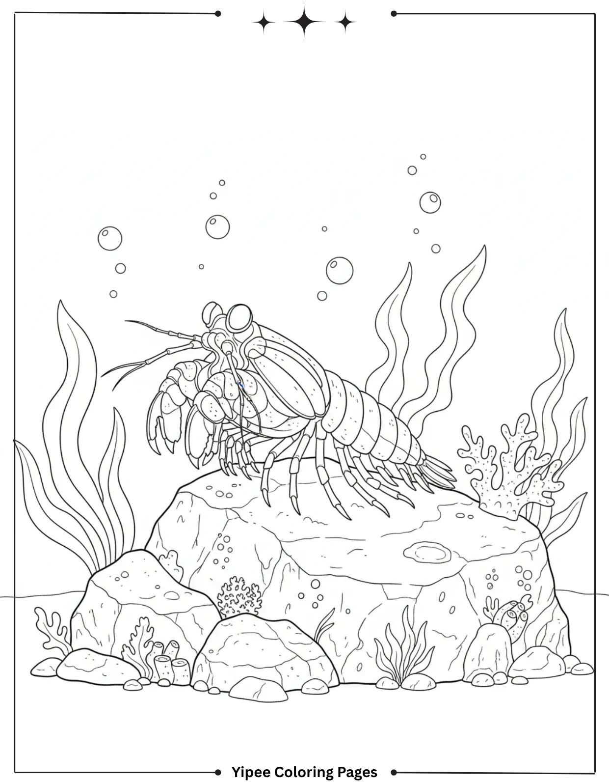 Sea Creatures Coloring Pages – Easy Ocean Designs Mantis Shrimp on Rock Coloring Page