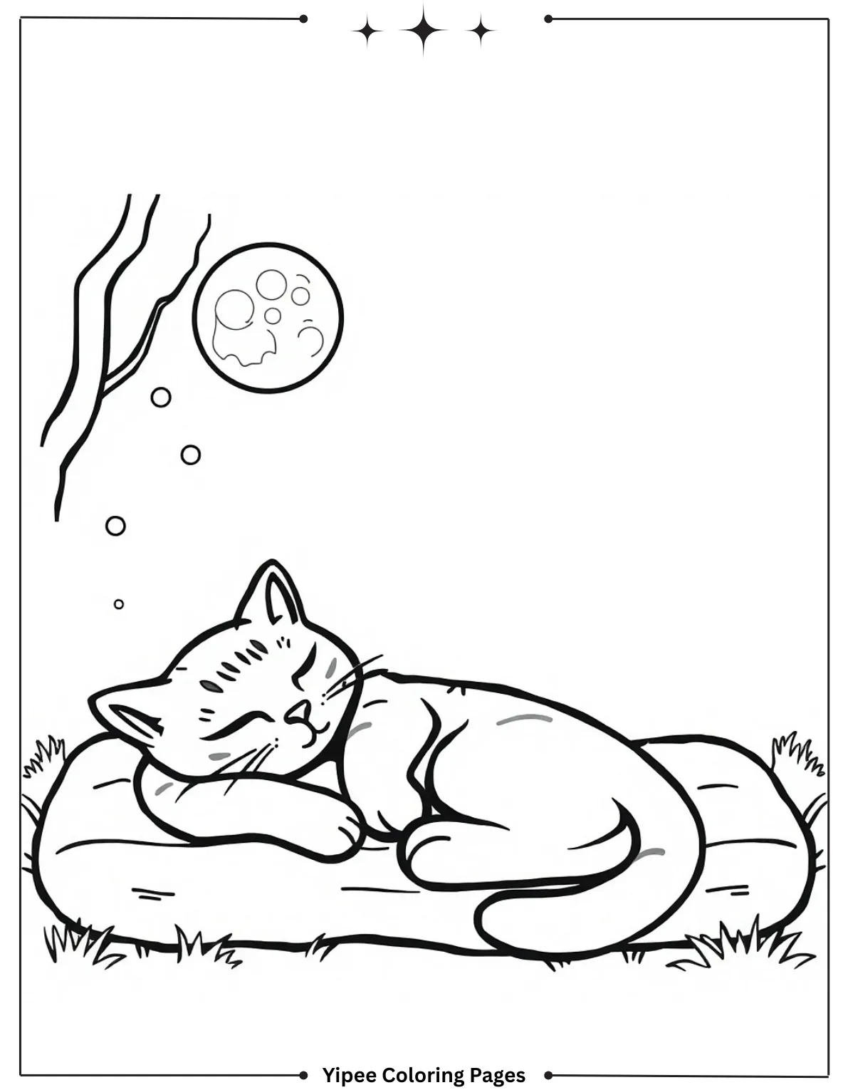 CatNap Waving on Starry Hill